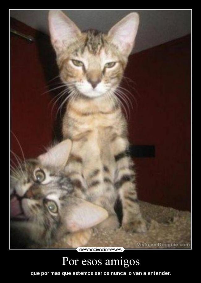 Por esos amigos -