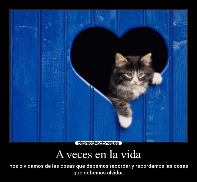 A veces en la vida - nos olvidamos de las cosas que debemos recordar y recordamos las cosas
que debemos olvidar.