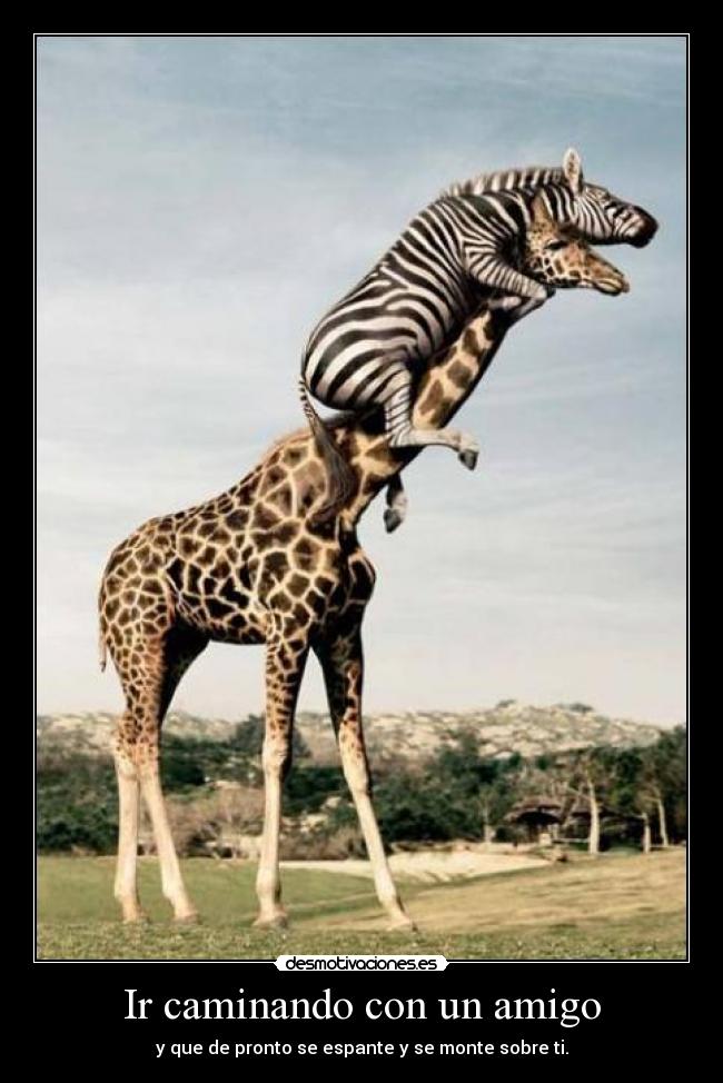 Ir caminando con un amigo - 