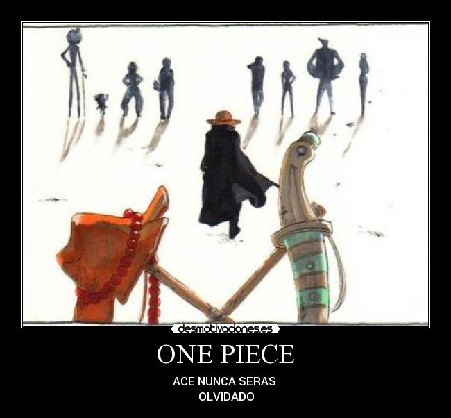 ONE PIECE -