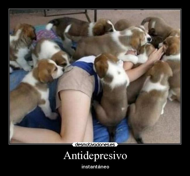 Antidepresivo -