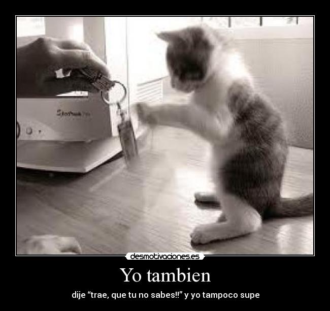 Yo tambien - dije “trae, que tu no sabes!!” y yo tampoco supe