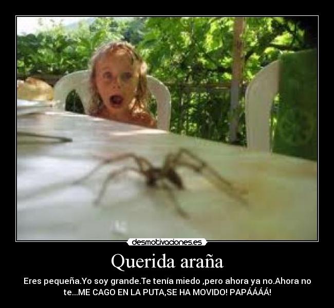 Querida araña - Eres pequeña.Yo soy grande.Te tenía miedo ,pero ahora ya no.Ahora no
te...ME CAGO EN LA PUTA,SE HA MOVIDO! PAPÁÁÁÁ!
