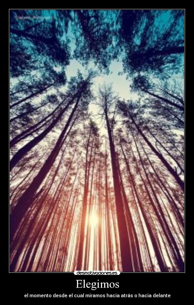 Elegimos - el momento desde el cual miramos hacia atrás o hacia delante