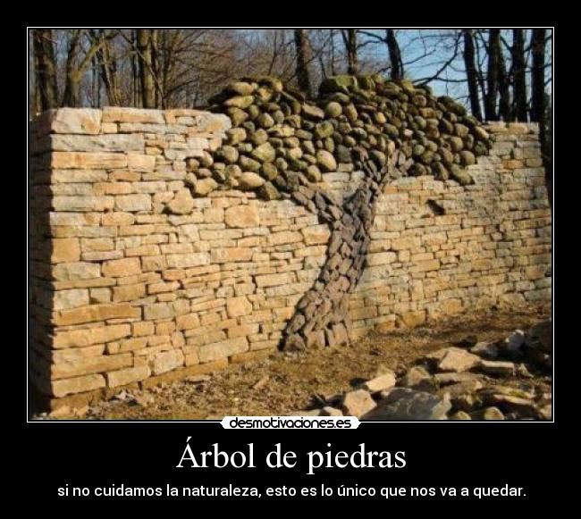 Árbol de piedras - si no cuidamos la naturaleza, esto es lo único que nos va a quedar.