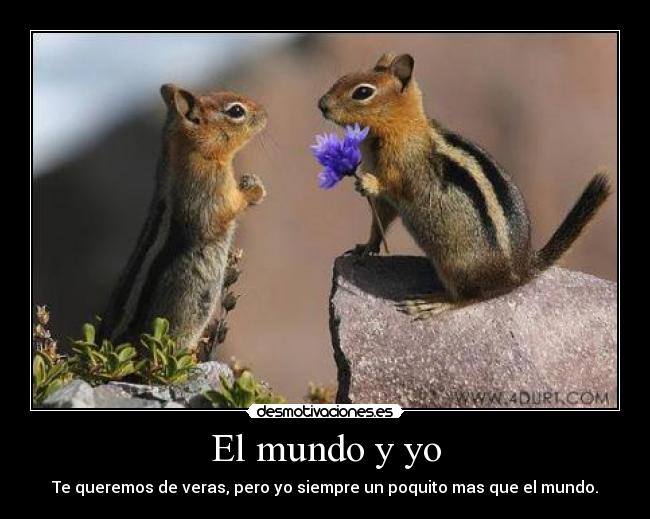 carteles mundo ardillas hannia muere moe desmotivaciones