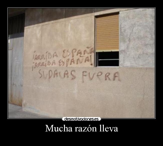 Mucha razón lleva - 