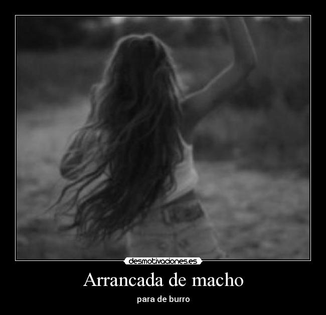 Arrancada de macho - para de burro