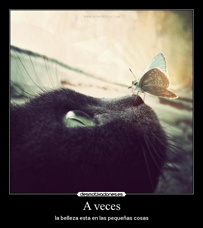 A veces - la belleza esta en las pequeñas cosas