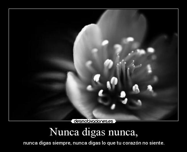 Nunca digas nunca, -
