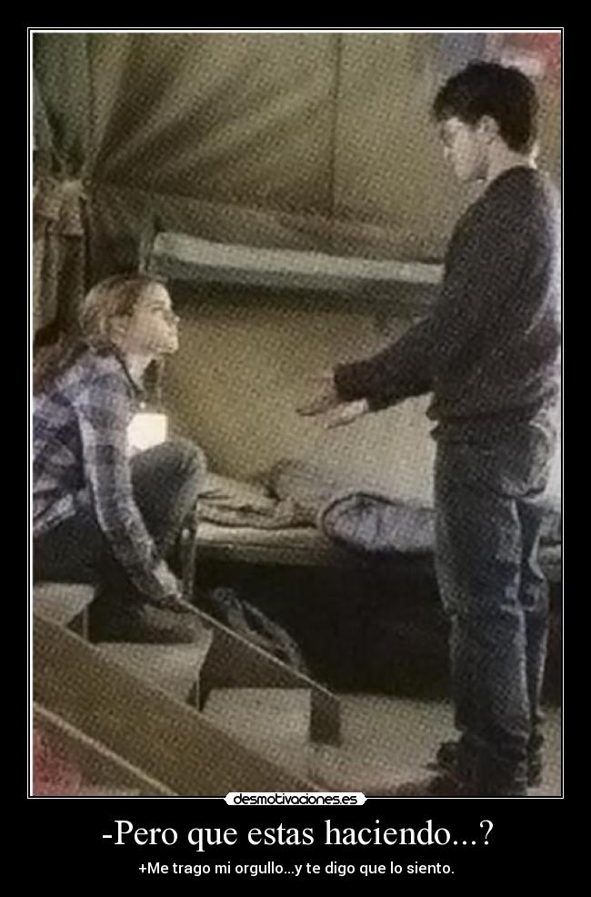-Pero que estas haciendo...? - +Me trago mi orgullo...y te digo que lo siento.