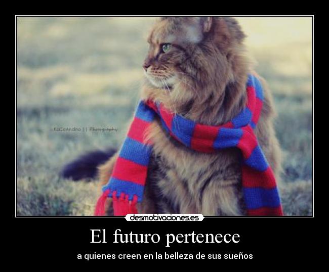 El futuro pertenece - a quienes creen en la belleza de sus sueños