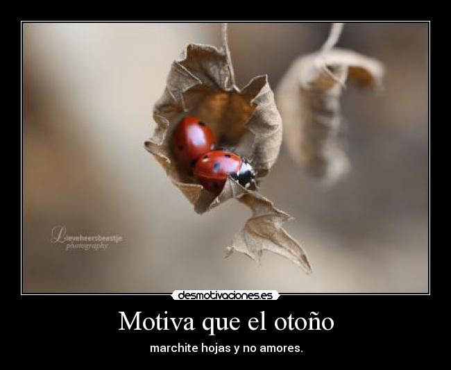 Motiva que el otoño - marchite hojas y no amores.