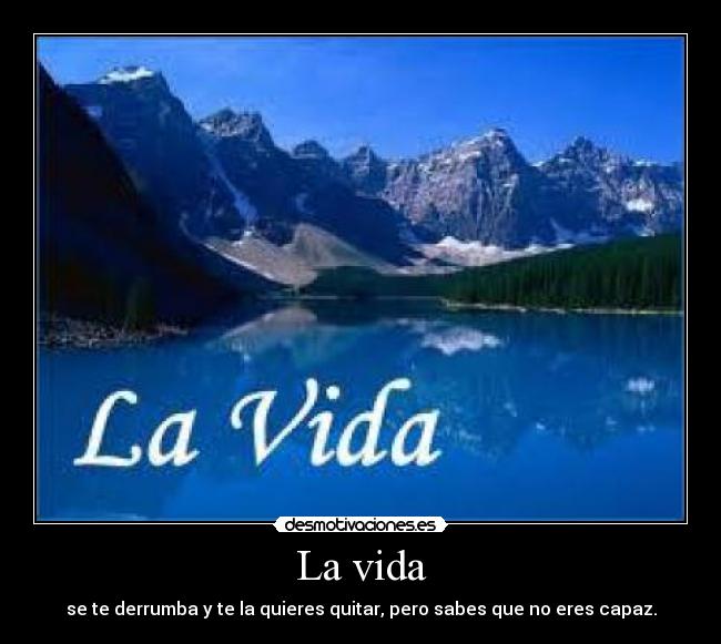 La vida - se te derrumba y te la quieres quitar, pero sabes que no eres capaz.