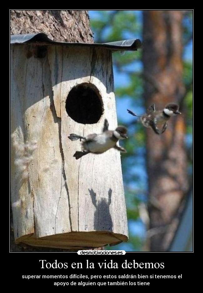 Todos en la vida debemos - 