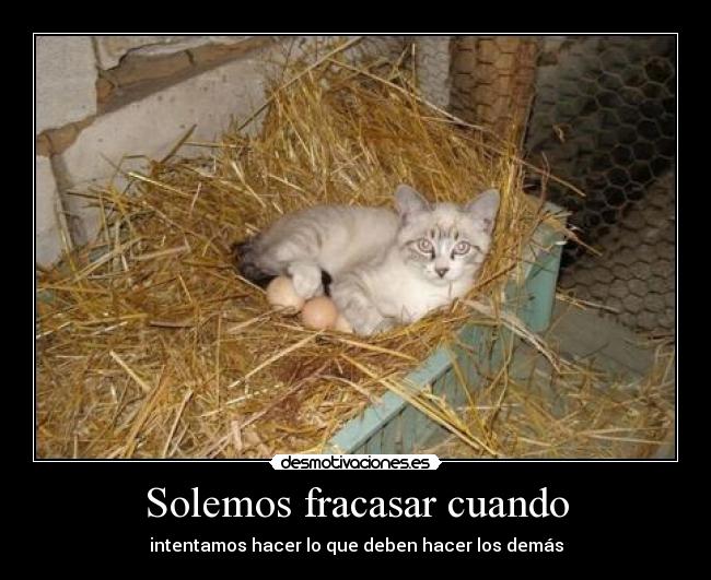 Solemos fracasar cuando - intentamos hacer lo que deben hacer los demás