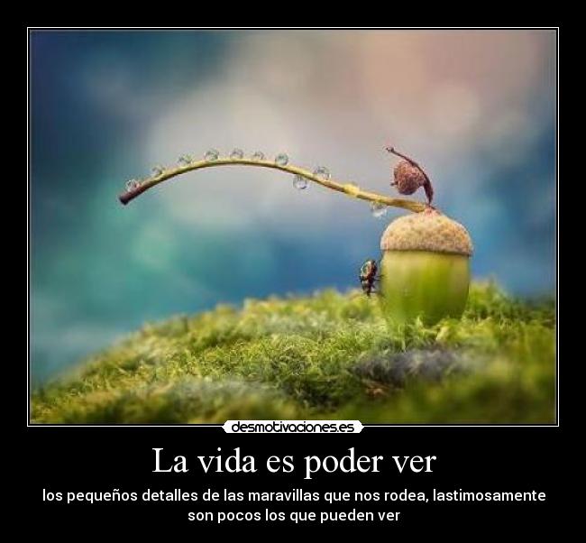 La vida es poder ver - los pequeños detalles de las maravillas que nos rodea, lastimosamente
son pocos los que pueden ver