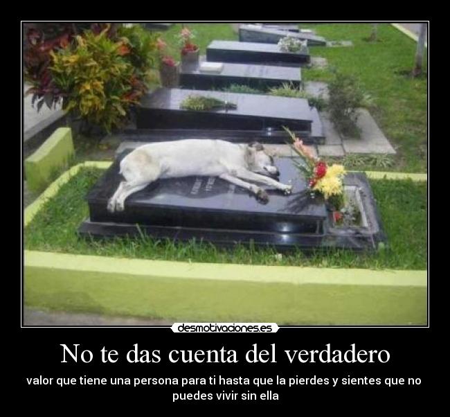 No te das cuenta del verdadero - valor que tiene una persona para ti hasta que la pierdes y sientes que no 
puedes vivir sin ella