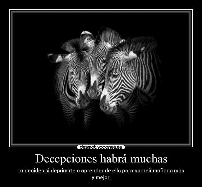 Decepciones habrá muchas - tu decides si deprimirte o aprender de ello para sonreir mañana más y mejor.