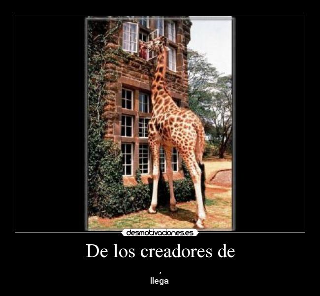 De los creadores de - 