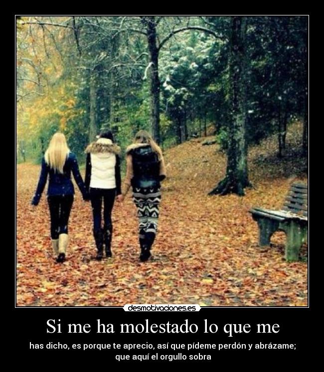 Si me ha molestado lo que me -