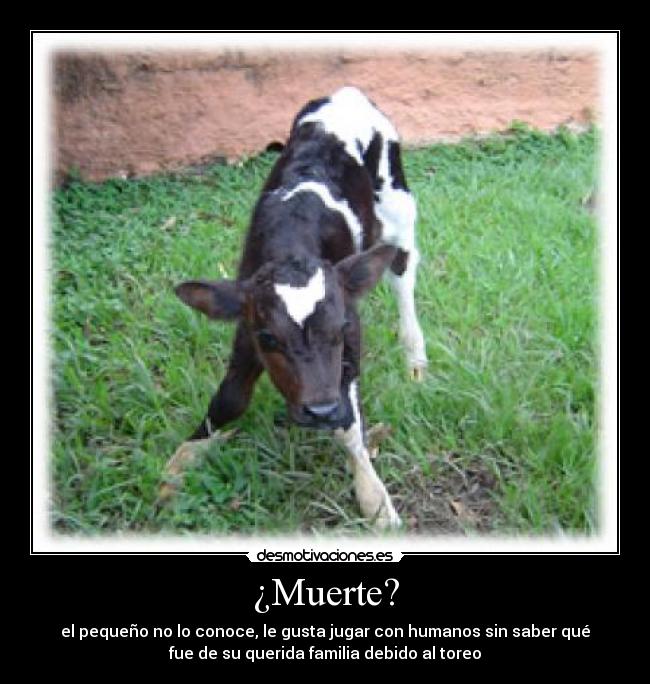 ¿Muerte? -