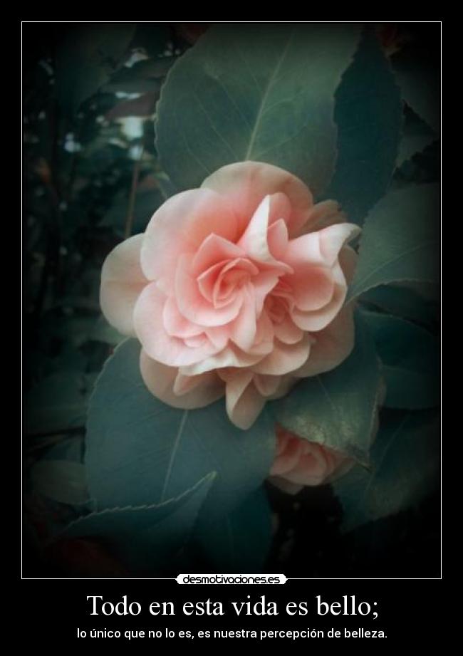 Todo en esta vida es bello; - lo único que no lo es, es nuestra percepción de belleza.