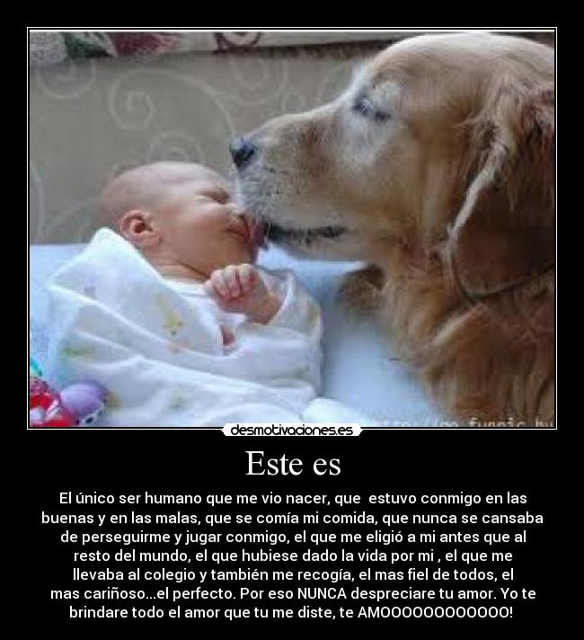 carteles  desmotivaciones