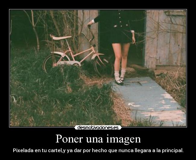 Poner una imagen -