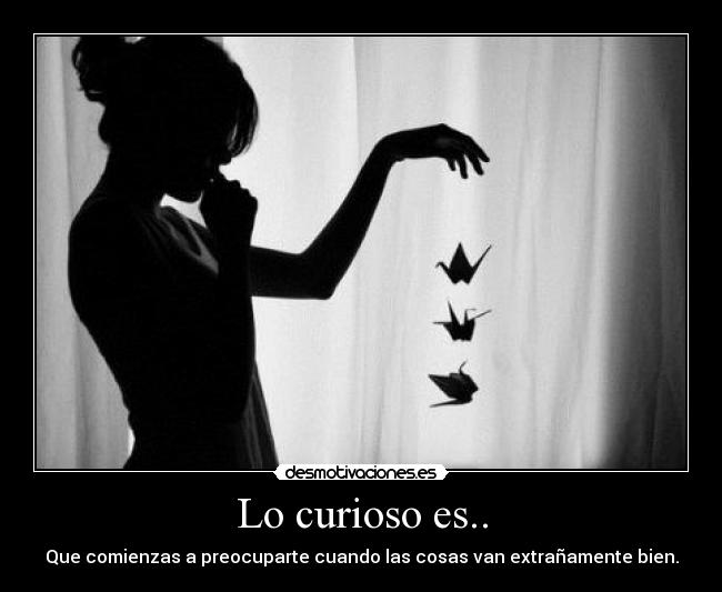 Lo curioso es.. - Que comienzas a preocuparte cuando las cosas van extrañamente bien.