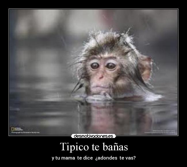 Tipico te bañas -