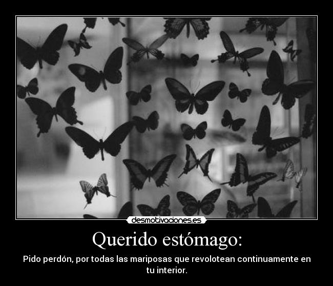 Querido estómago: - Pido perdón, por todas las mariposas que revolotean continuamente en tu interior.