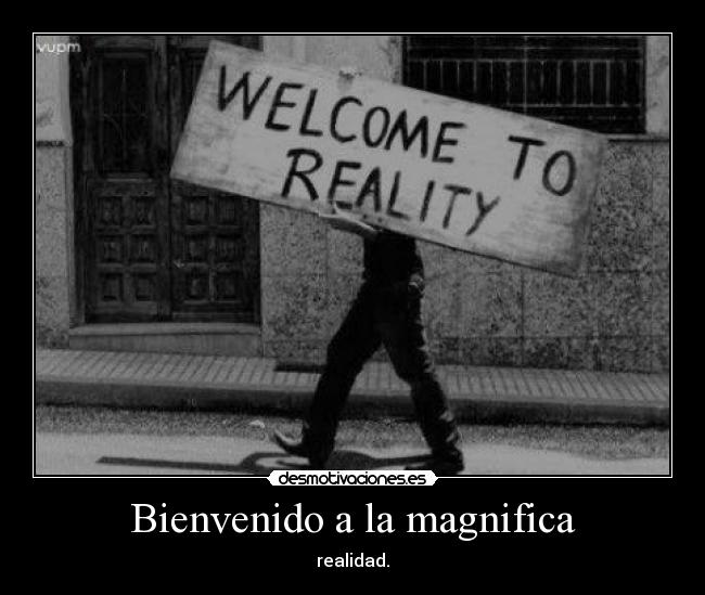 Bienvenido a la magnifica -
