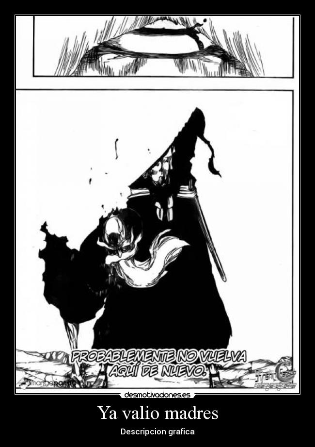 Ya valio madres - Descripcion grafica
