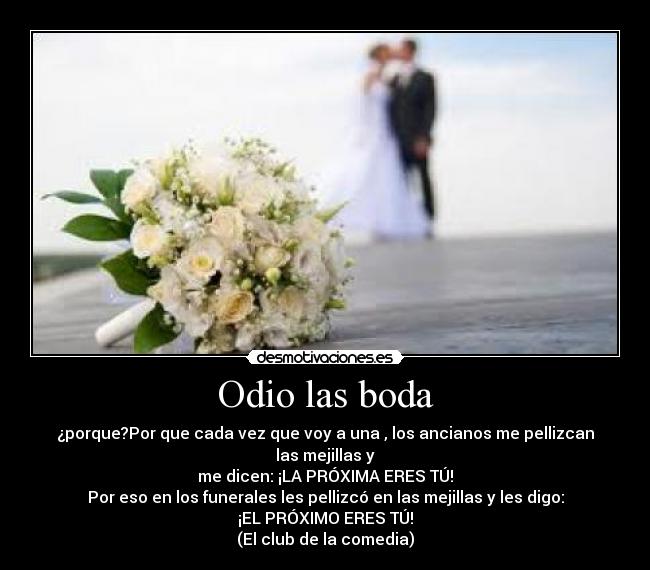 Sintético 105+ Foto Bodas De Odio Libro Caridad Bravo Adams Alta Definición Completa, 2k, 4k