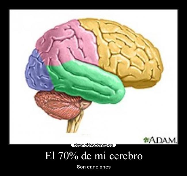 El 70% de mi cerebro -