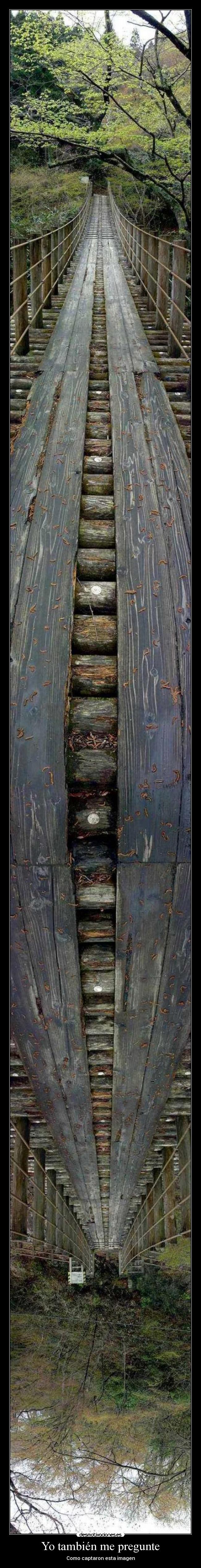 Yo también me pregunte - 