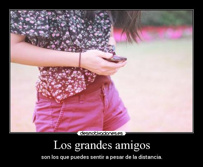 Los grandes amigos - 