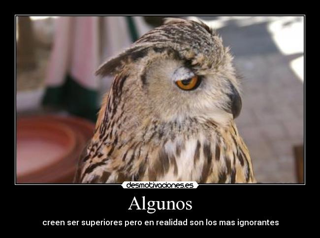 Algunos - creen ser superiores pero en realidad son los mas ignorantes
