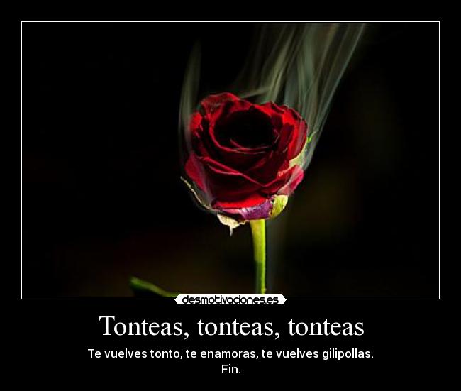 Tonteas, tonteas, tonteas -