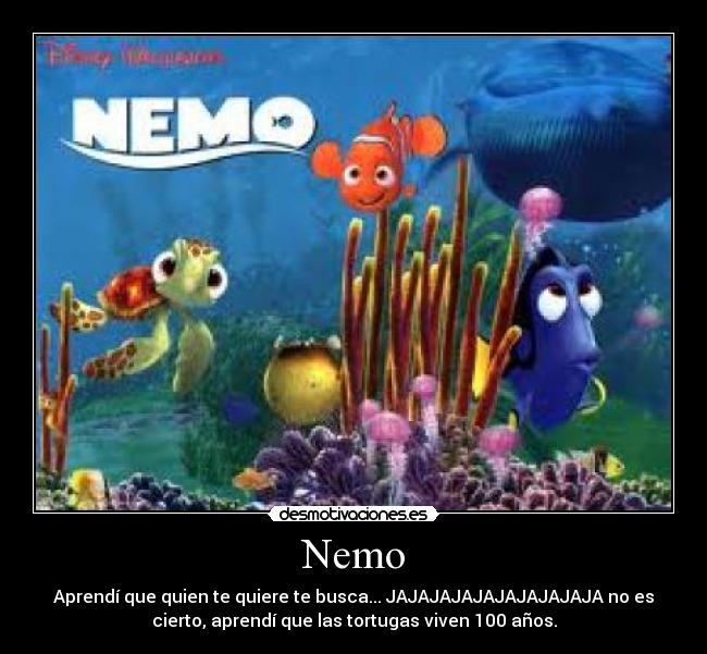 Nemo - 