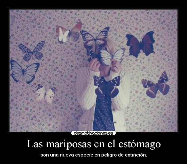 Las mariposas en el estómago -
