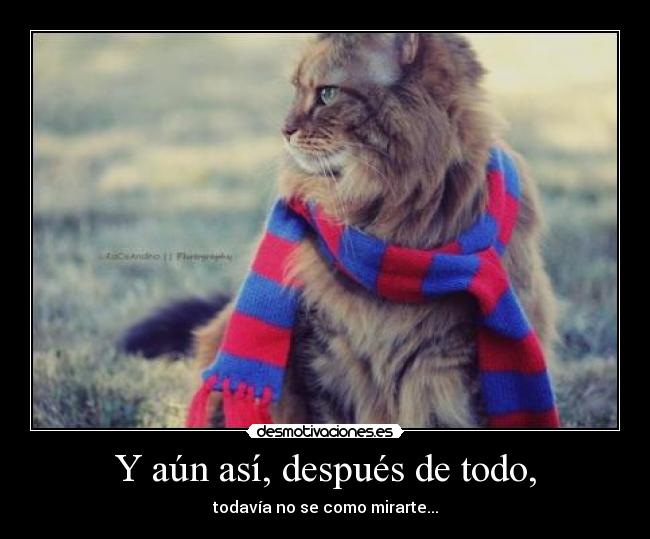 Y aún así, después de todo, - todavía no se como mirarte...