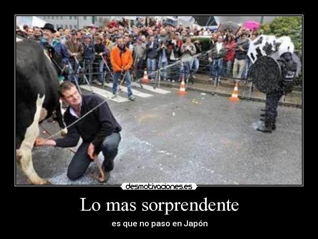Lo mas sorprendente - es que no paso en Japón