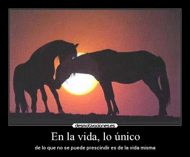 En la vida, lo único -