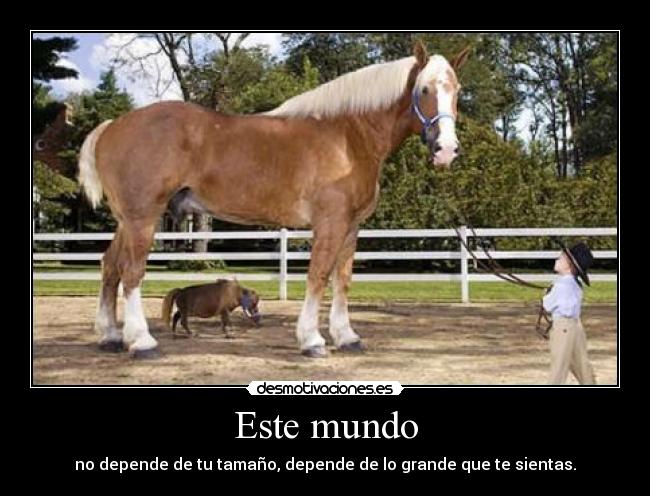 Este mundo - 