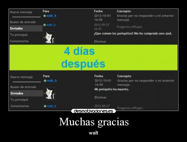 Muchas gracias - walt