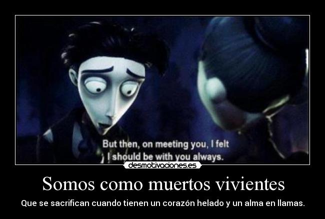 carteles enamoradiza crazyclub icequeenbvb dont blame gravity for falling love quien entiende desmotivaciones