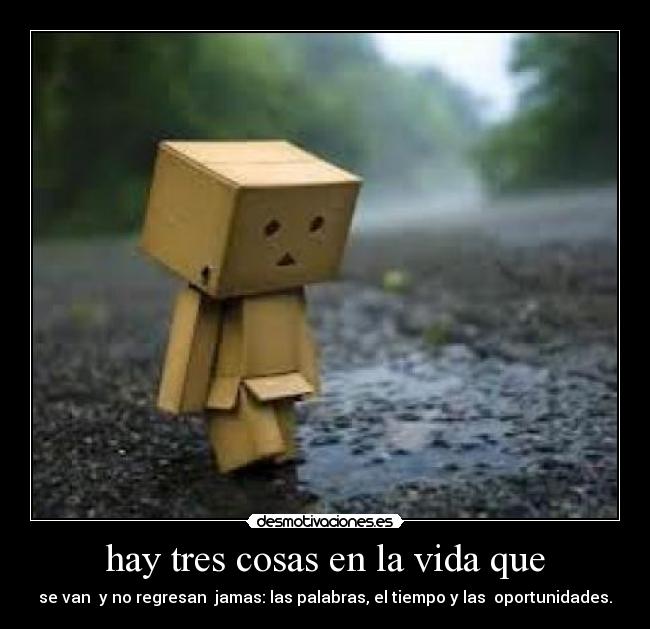 hay tres cosas en la vida que - se van  y no regresan  jamas: las palabras, el tiempo y las  oportunidades.