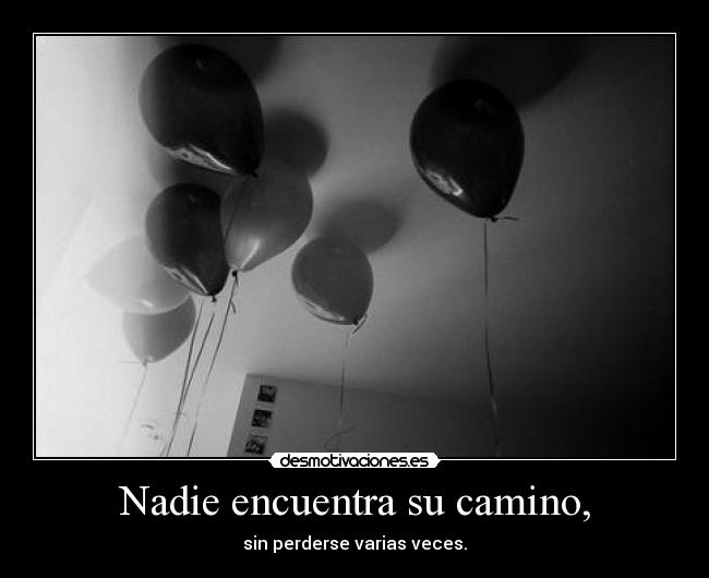 carteles batman pollo gatos desmotivaciones